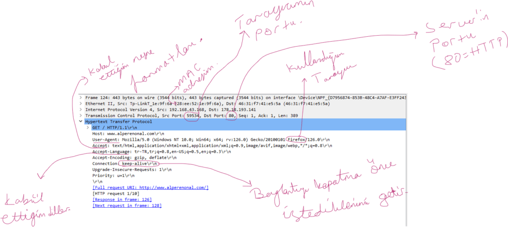 HTTP Request Detayı